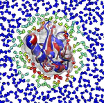 Protein Solvation Thermodynamics: The Unfolding Equilibrium (ENGLISH VERSION)