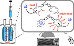 Counterintuitive Electrostatics upon Metal Ion Coordination to a Receptor with Two Homotopic Binding Sites